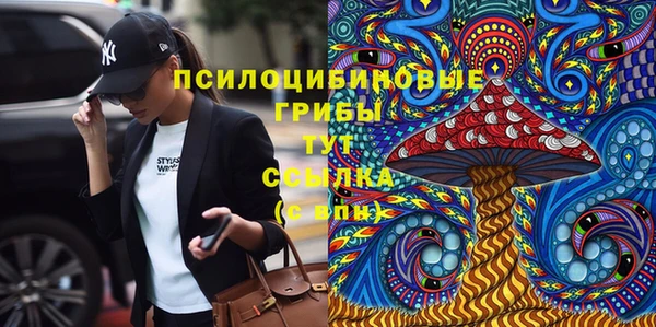 молекула духа Волосово