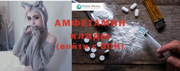 молекула духа Волосово