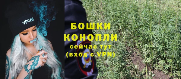 молекула духа Волосово